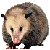 Avatar de Opossum // Leel