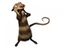 Avatar de Kraash