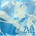 Avatar de Zaid