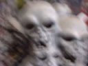 Avatar de Mudvayne le Bagnard
