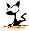 Avatar de Hedren