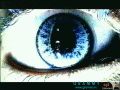 Avatar de LLB