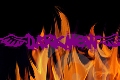Avatar de Darkmew