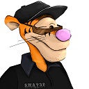 Avatar de mr.tigrooo