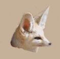 Avatar de Dioka Noz
