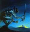 Avatar de Shekandar