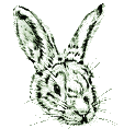 Avatar de l'oeil d'Ed