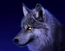 Avatar de Xioultra