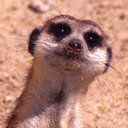 Avatar de Goodfornothing