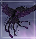 Avatar de accoudragonitas