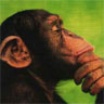 Avatar de Ellipco