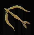 Avatar de Dak