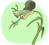 Avatar de Cargol