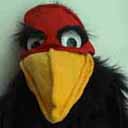 Avatar de AugusteZ