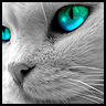 Avatar de lioub