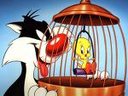 Avatar de C-grosminet