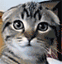 Avatar de yummies