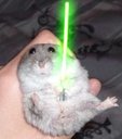 Avatar de eizerr