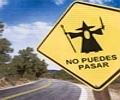 Avatar de Tyllan