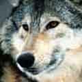 Avatar de HySteRiiK