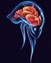 Avatar de Essence du M