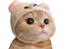 Avatar de nhk