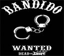 Avatar de Elgringo-