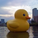 Avatar de Saltarius