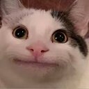Avatar de Cislouille
