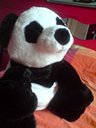 Avatar de Chnapi