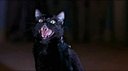 Avatar de Spellforce