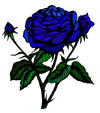 Avatar de Elegyr Menahel