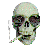 Avatar de bibabou/ovan