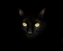 Avatar de Sacha-eca