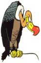 Avatar de Vautour