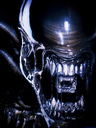 Avatar de radda888