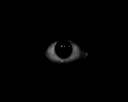 Avatar de I Watch You