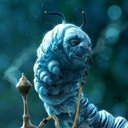 Avatar de yaendhyr