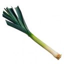 Avatar de Légume De Jade