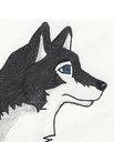 Avatar de LuckyWolf27