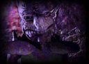 Avatar de Kaljerod