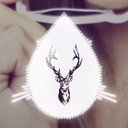 Avatar de Teamfee