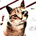 Avatar de Mata.Mandelune