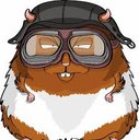 Avatar de Hamster Furieux