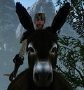Avatar de dalcan