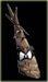 Avatar de No_One