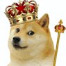 Avatar de Contrex