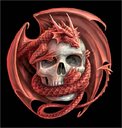 Avatar de Lrikko