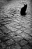 Avatar de Odb