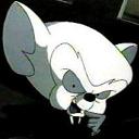 Avatar de cortx